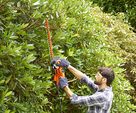 Кусторез BLACK&DECKER BEHT201